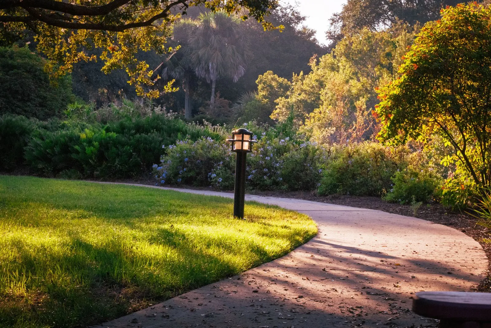 Secured memory care garden with looped walking path and raised planters